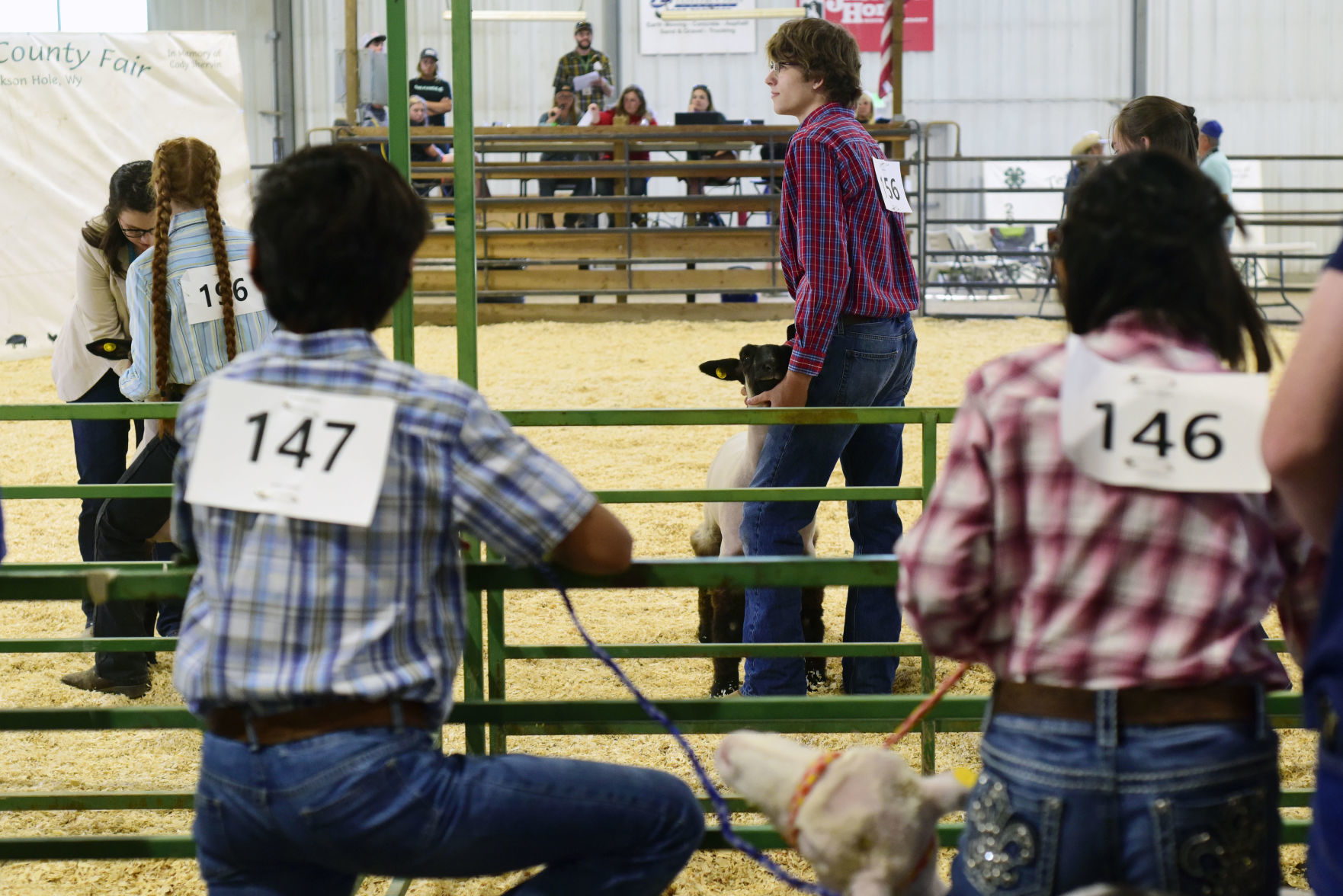 4-H Sheep Show